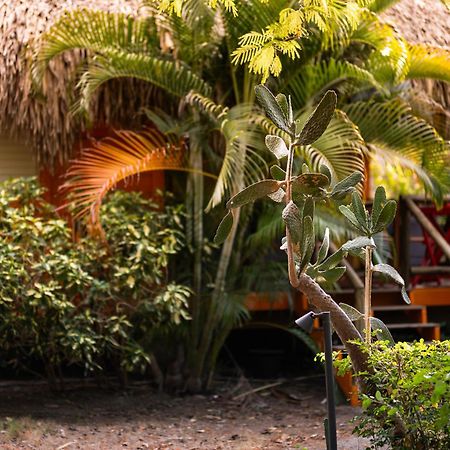 Mondi Lodge Dorp Sint Michiel Exterior foto