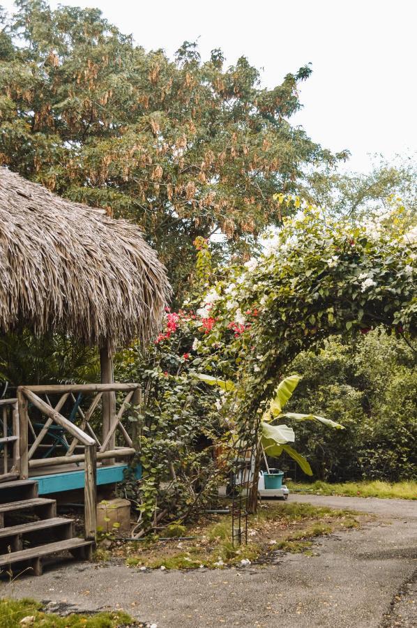Mondi Lodge Dorp Sint Michiel Exterior foto