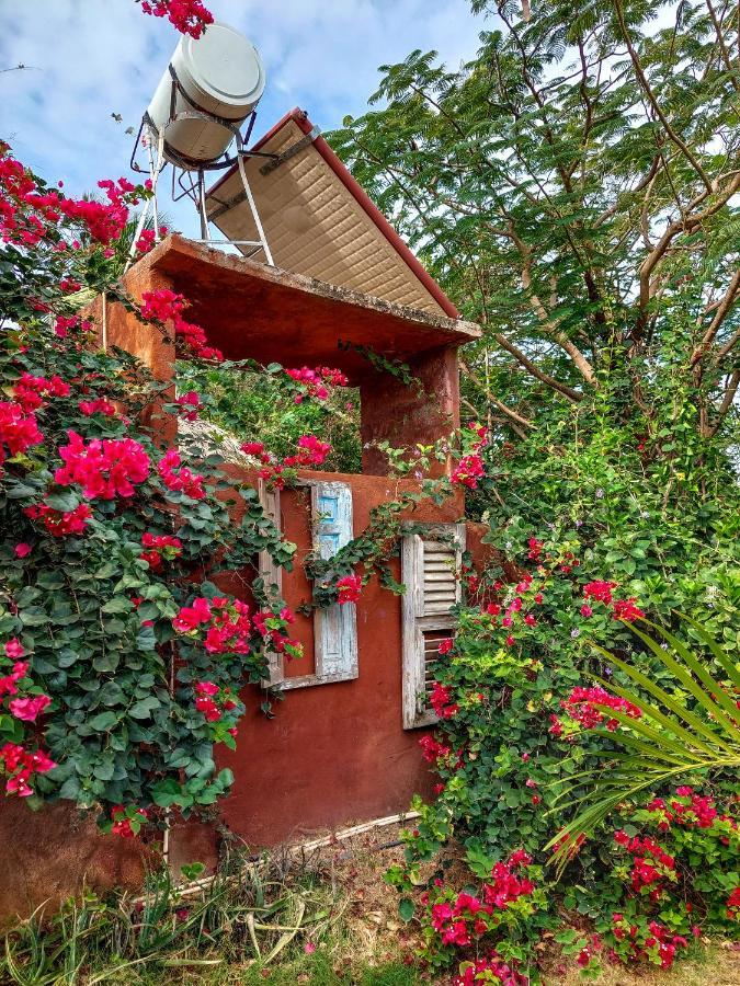 Mondi Lodge Dorp Sint Michiel Exterior foto