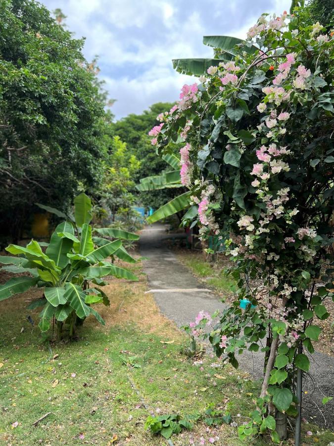 Mondi Lodge Dorp Sint Michiel Exterior foto