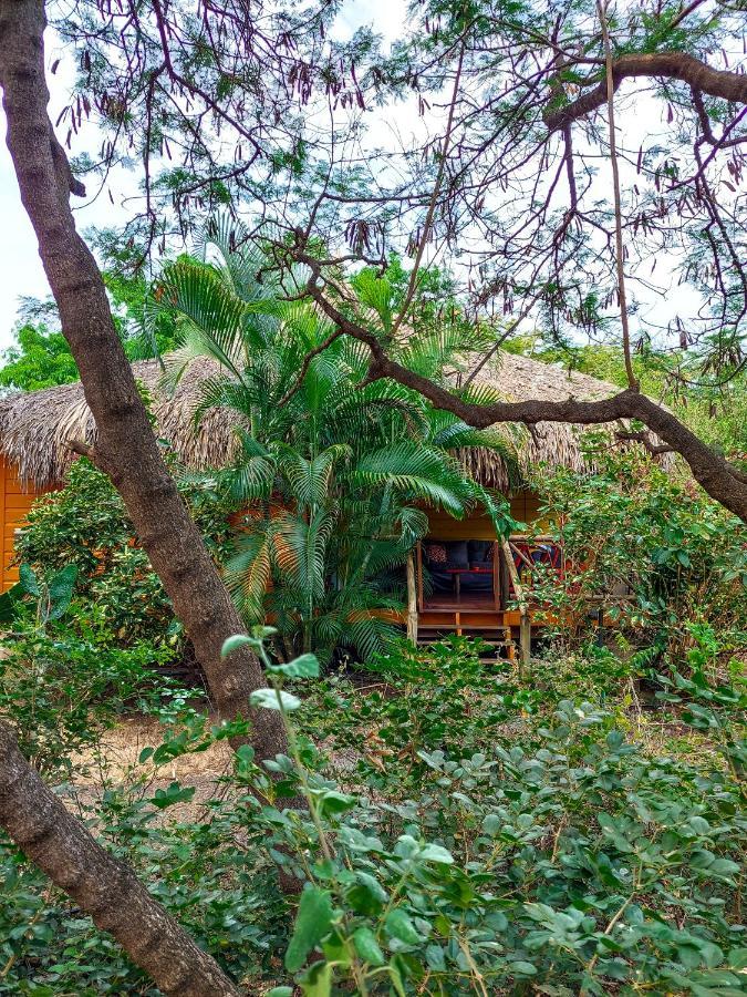 Mondi Lodge Dorp Sint Michiel Exterior foto