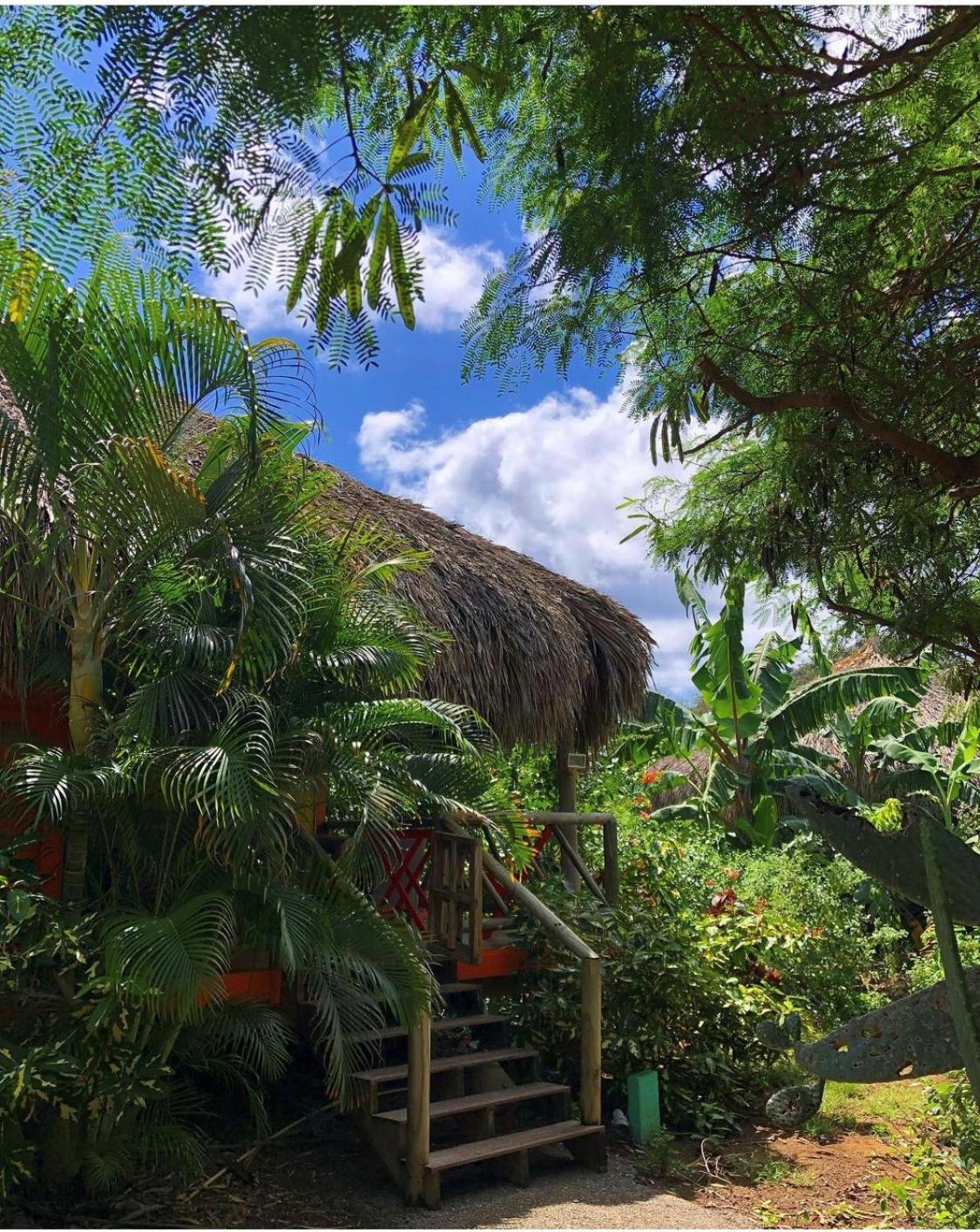 Mondi Lodge Dorp Sint Michiel Exterior foto